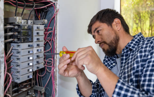 Best Ceiling Fan Installation Electrician  in Nogales, AZ